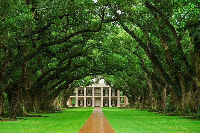 Oak Alley Plantation Half-Day Tour from New Orleans - What to Expect on the Oak Alley Plantation Half-Day Tour