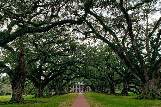Oak Alley Plantation Tour with Transportation - The Sum Up