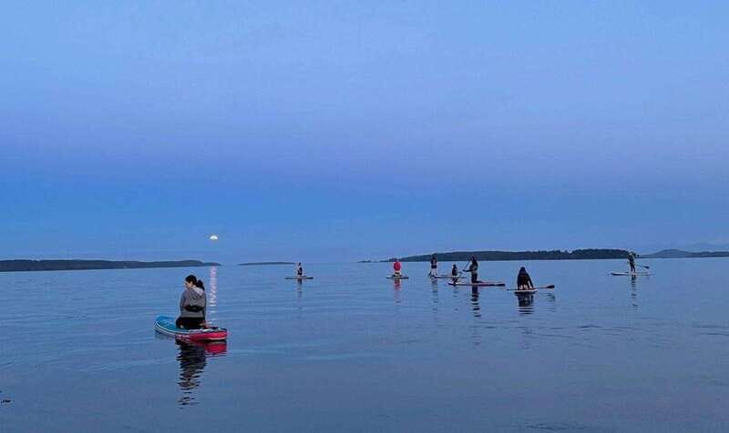 Oak Bay: Full Moon Paddle Experience - The Experience in Detail: What You Can Expect