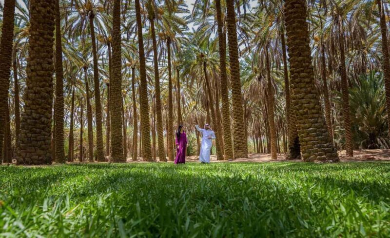 Oasis Adventure in Alula - Key Points