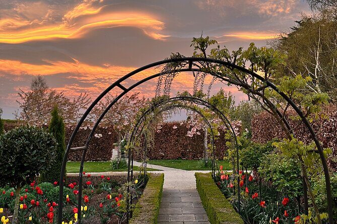 Oasis Cottage Gardens and Floristry Studio in Oxford, NZ - A Closer Look at the Oasis Cottage Experience