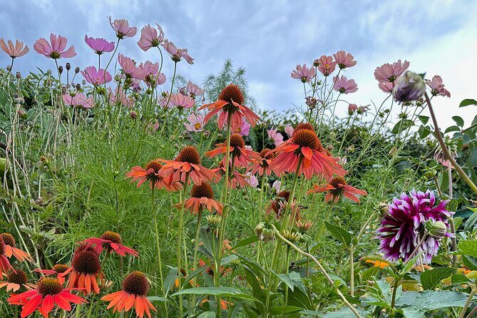 Oasis Cottage Gardens and Floristry Studio in Oxford, NZ - The Itinerary in Detail