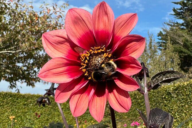 Oasis Cottage Gardens and Floristry Studio in Oxford, NZ - Practical Details: What You Need to Know