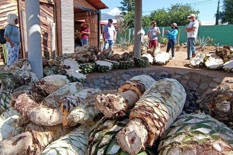 Oaxaca: Ancestral Mezcal Experience - Analyzing the Value