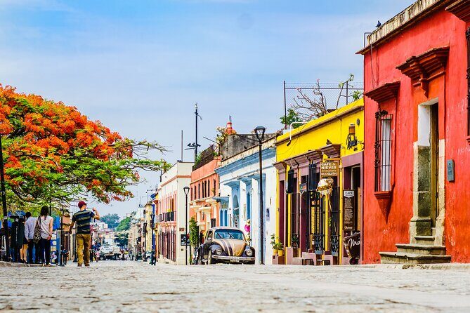 Oaxaca City Private Tour Culture, History, and Tastes - Authenticity and Value