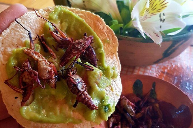 Oaxaca Conmigo Private Tours - Who Will Love This Tour?