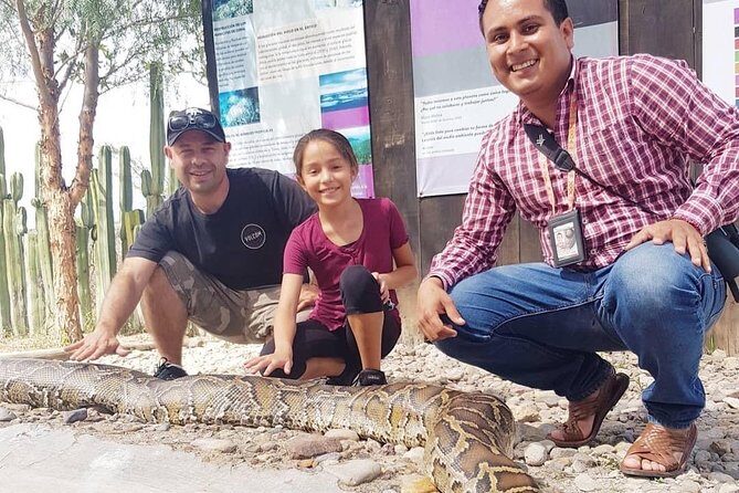 Oaxaca Conmigo Private Tours - Frequently Asked Questions