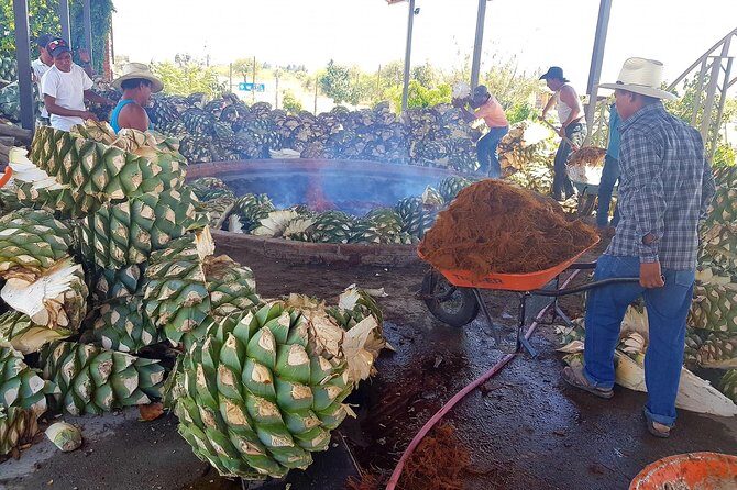 Oaxaca Conmigo Private Tours - Final Thoughts