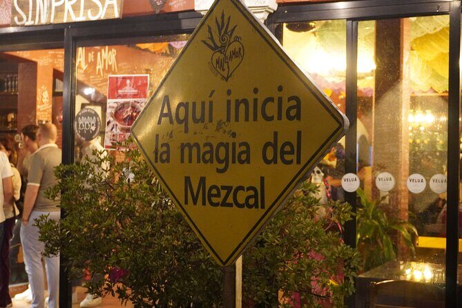 Oaxaca Day Trip Markets Hierve el Agua and Mezcal Tasting - Final Thoughts
