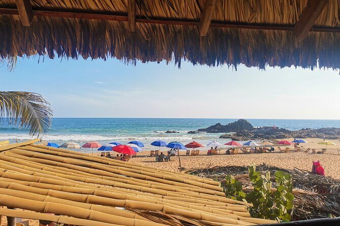 Oaxaca de Juarez to Huatulco - Private Transfer - Who Will Benefit Most?