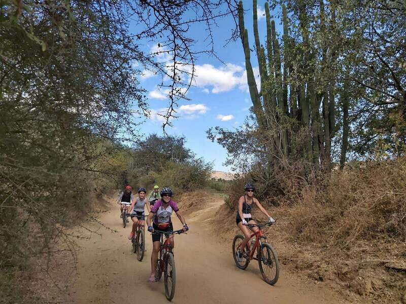 Oaxaca: Ejutla Canyon 1 Day Bike Tour - The Sum Up: Who Is This Tour Best For?