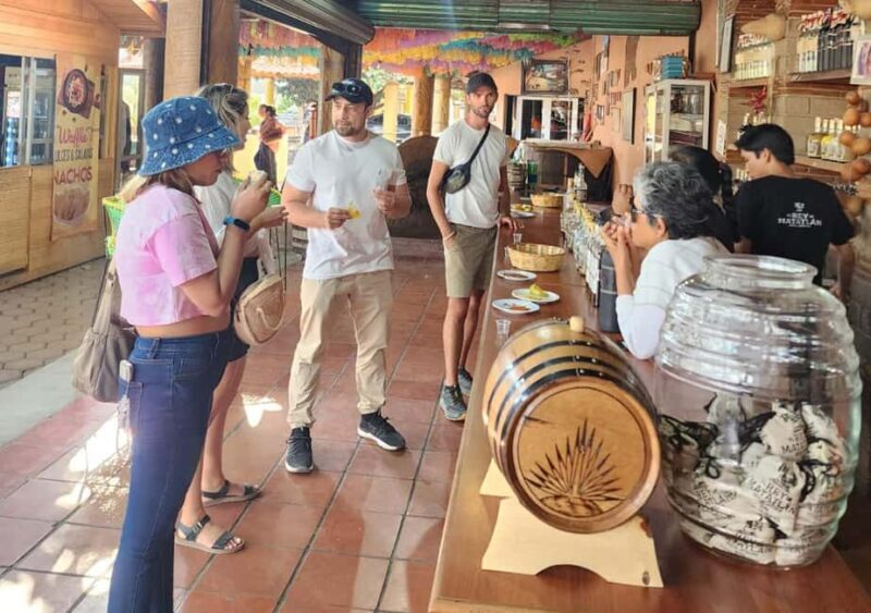 Oaxaca: El Tule, Mitla, and Hierve el Agua Tour with Mezcal - Exploring the Itinerary in Detail