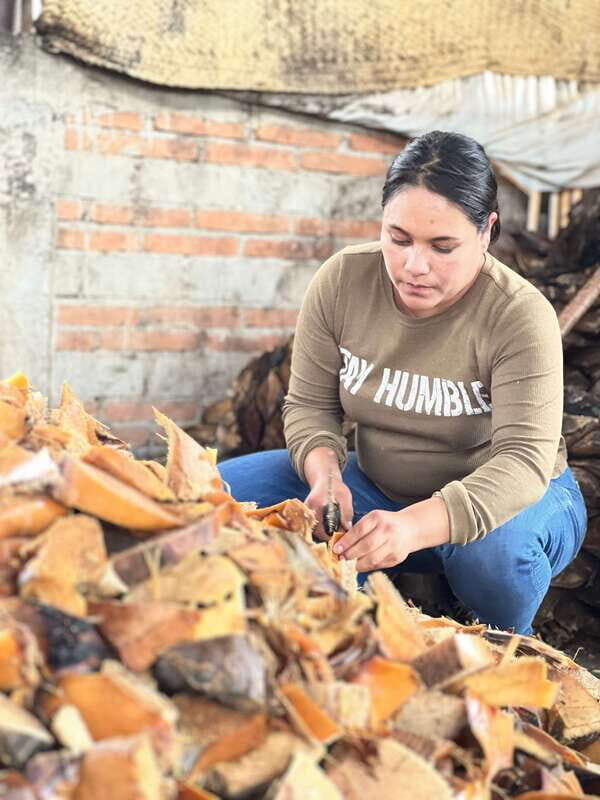 Oaxaca: Empowering Women Private Tour - Who Should Consider This Tour?