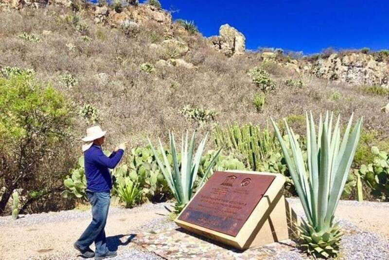 Oaxaca: Exclusive Private Yagul UNESCO Heritage Site Tour - Key Points