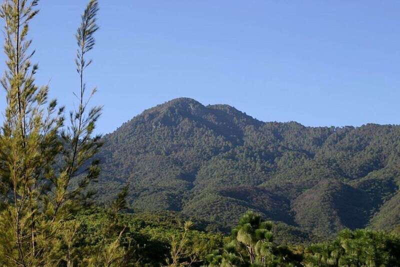 Oaxaca: Forest and Nature Walking Experience - Practical Aspects of the Tour
