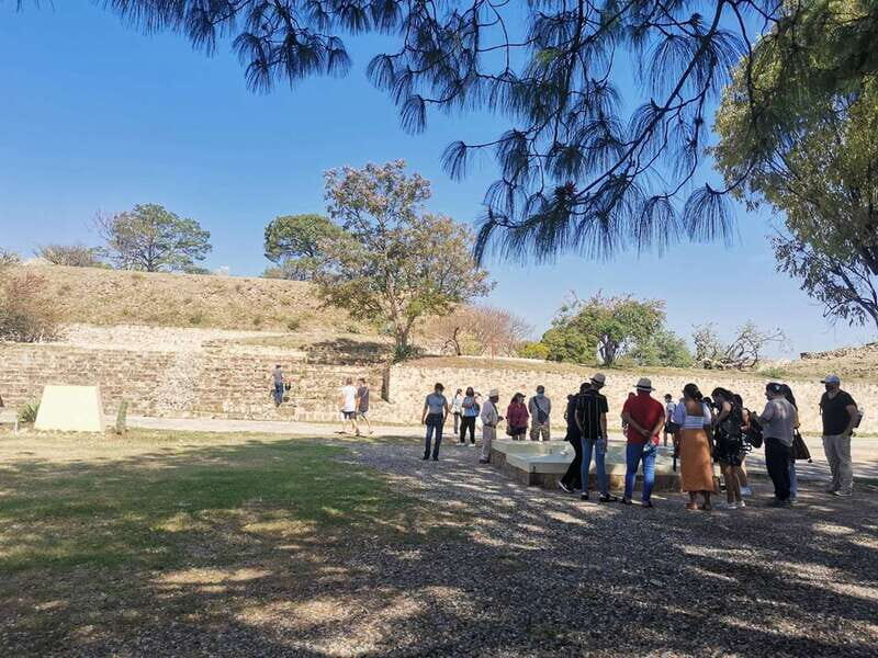 Oaxaca: Full Day Guided Tour on the Monte Alban Route - What to Expect from the Oaxaca: Full Day Guided Tour