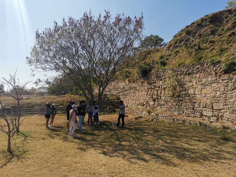 Oaxaca: Full Day Guided Tour on the Monte Alban Route - Practical Tips for Travelers
