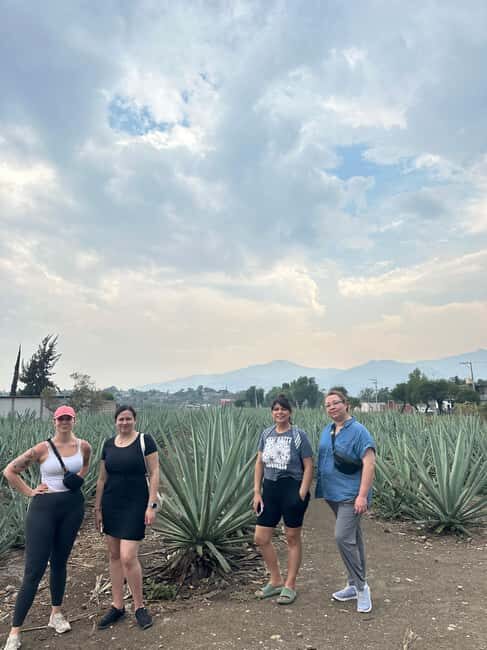 Oaxaca: Hierve el Agua & Mezcal Distillery Small-Group Tour - Who Will Love This Tour?