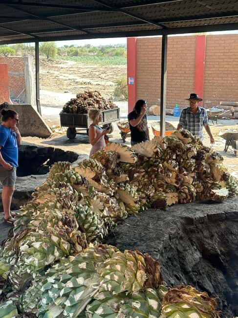 Oaxaca: Hierve el Agua & Mezcal Distillery Small-Group Tour - FAQ