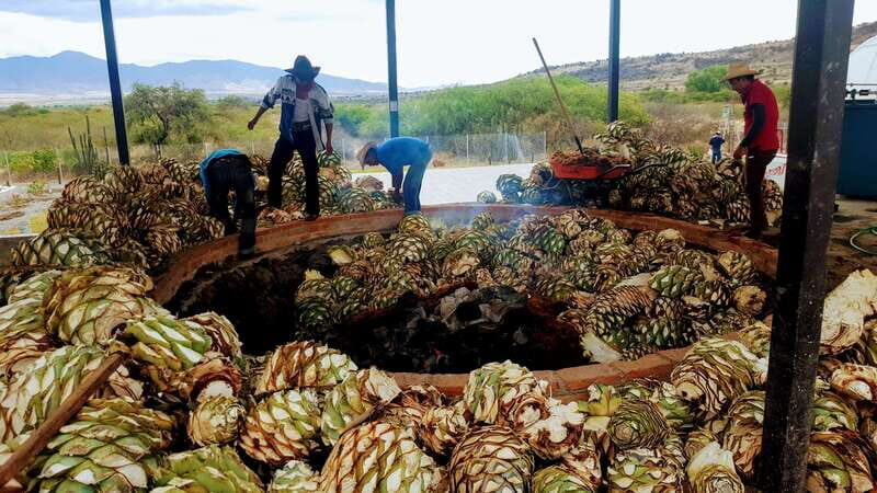 Oaxaca: Mezcal Adventure - Authenticity and Cultural Insights