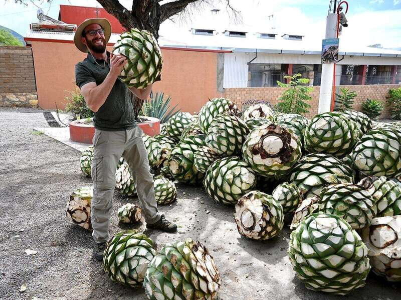 Oaxaca: Mezcal Distillery Tour with Tastings - An In-Depth Look at the Tour Experience