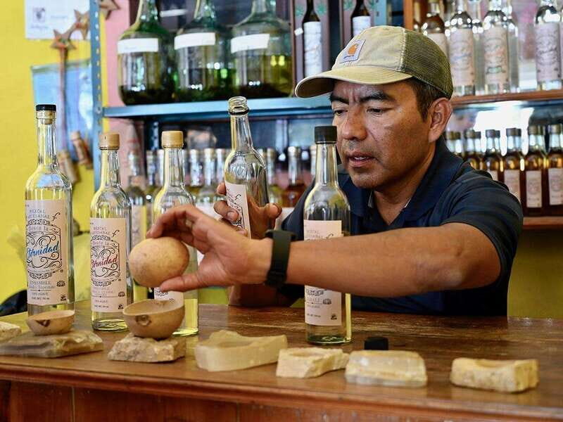 Oaxaca: Mezcal Distillery Tour with Tastings - Who Will Enjoy This Tour?