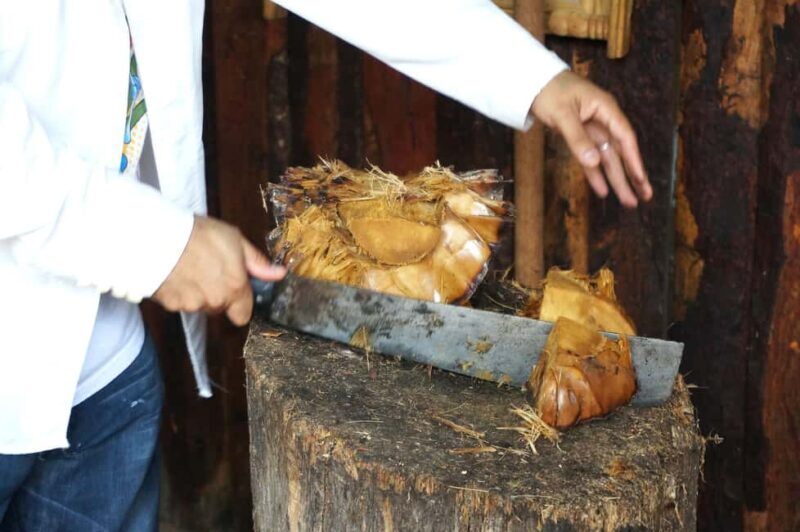 Oaxaca: Mezcal Tasting & Barrel Ride - The Mezcal Tasting: A Flavorful Finale