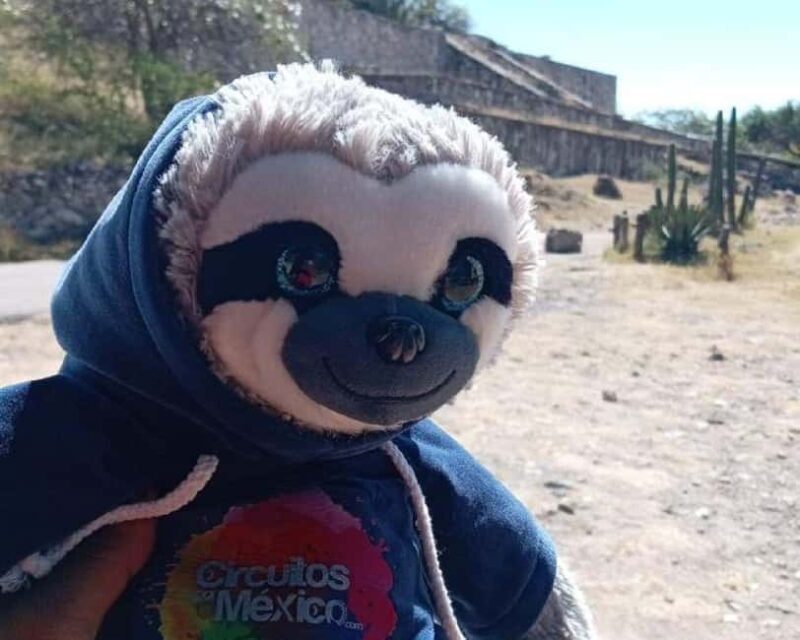 Oaxaca: Mezcal Tasting & Barrel Ride - Final Thoughts: Is It Worth It?