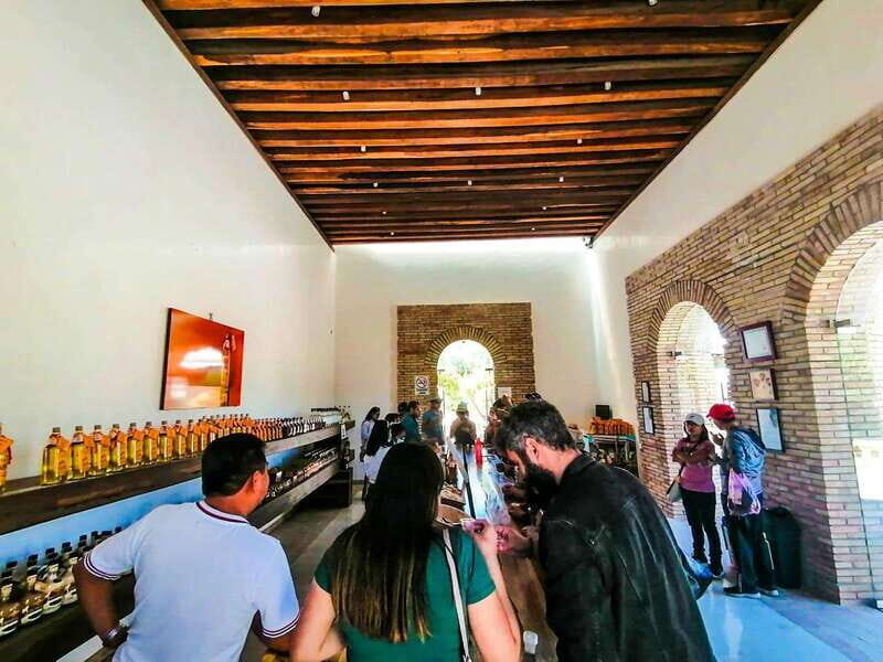 Oaxaca- Mezcal Voices - Authentic Experiences and Local Insights