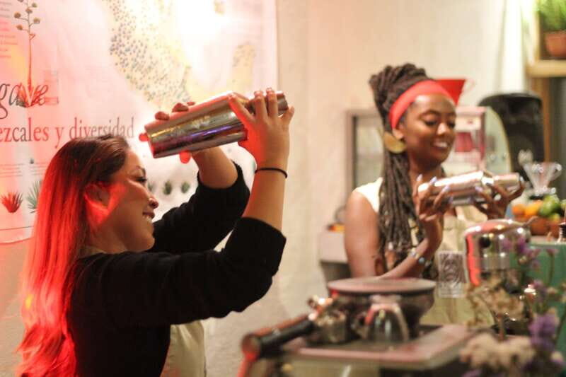 Oaxaca: Mixology Workshop with Organic Mezcal - Key Points