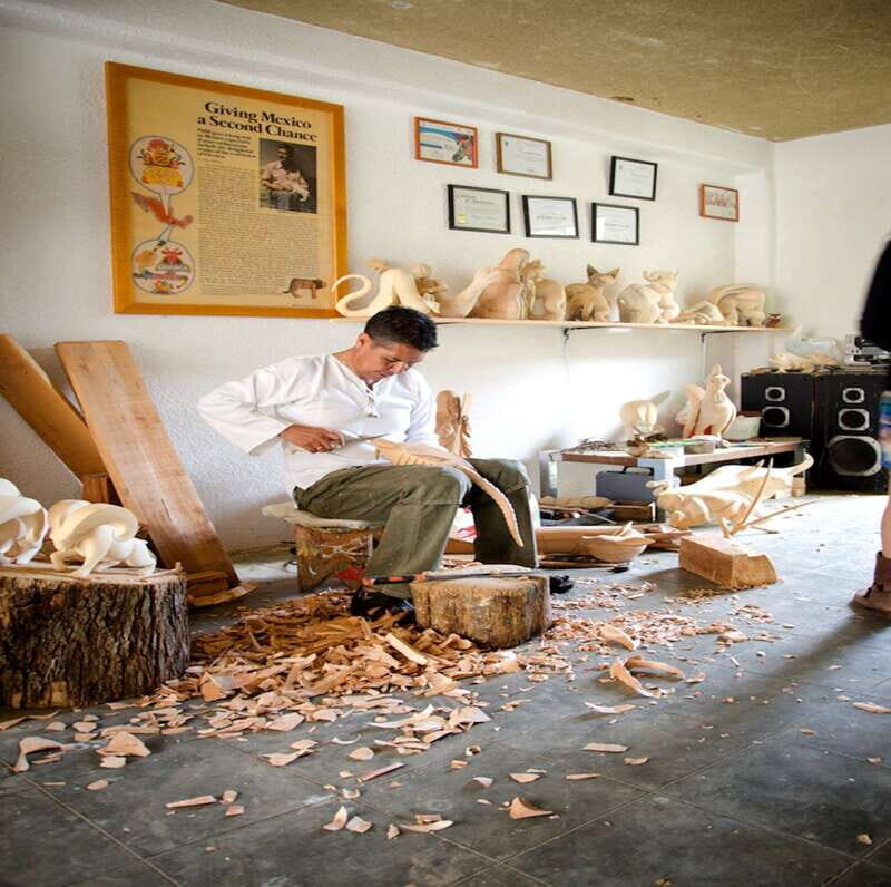 Oaxaca: Monte Alban and the Art of Oaxaca - What to Expect and What to Watch Out For