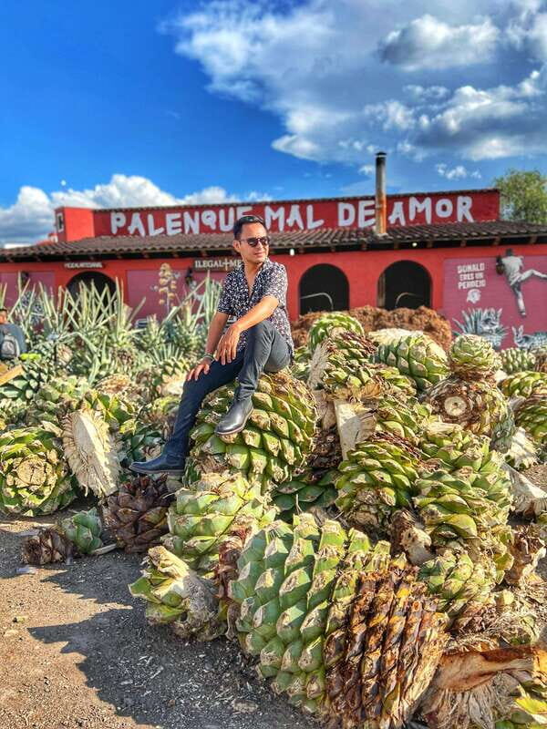 Oaxaca: Monte Albán, Hierve el agua, Mezcal and Teotitlán - An Introduction to the Tour