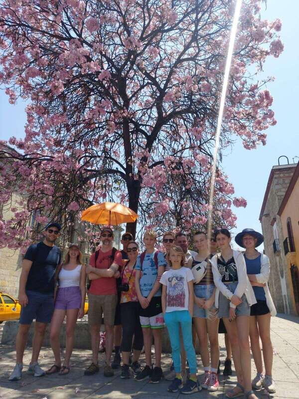 Oaxaca: Oaxaca City Beyond the Surface Walking Tour - Why This Tour Offers Great Value