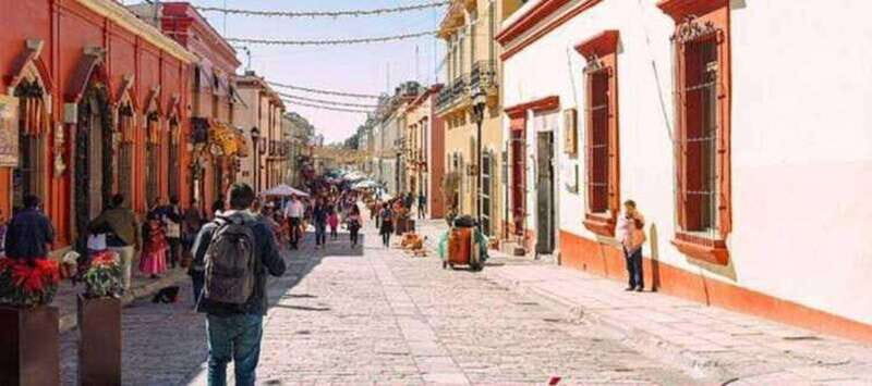 Oaxaca: Private City Tour with Local Food Buffet - A Detailed Look at the Tour Experience