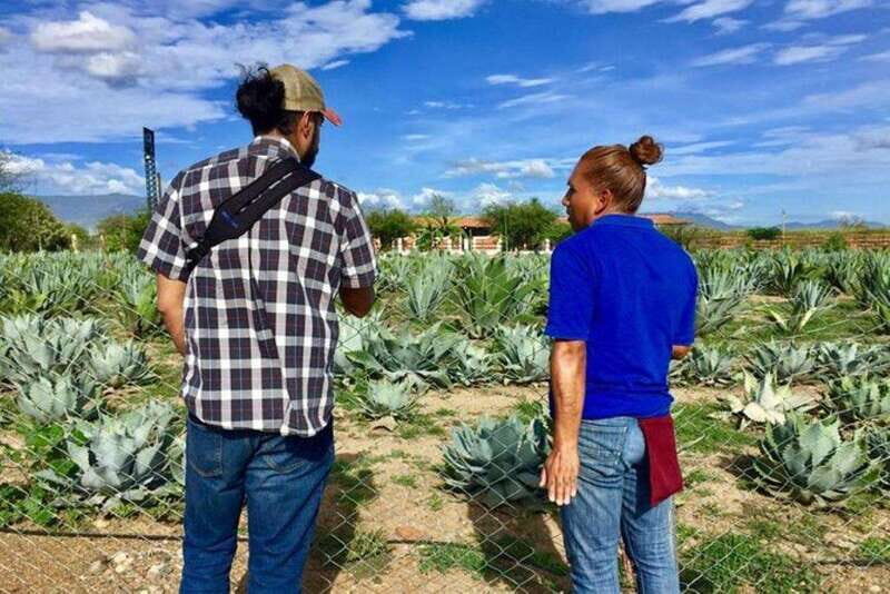 Oaxaca: Private Gastronomy and Culture Tour - Witnessing Craftsmanship: Textile Workshop