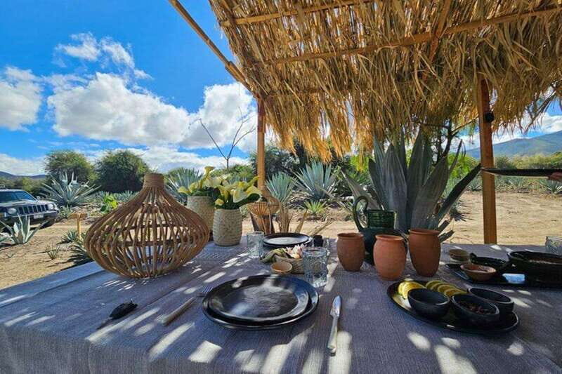 Oaxaca: Private Lunch in Maguey Fields with Mezcal Tasting - An In-Depth Look at the Experience