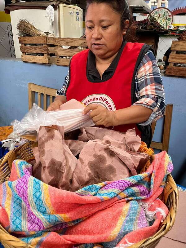 Oaxaca: San Martín Tilcajete, Jalieza & Ocotlán Crafts Route - An In-Depth Look at the Oaxaca Crafts Route