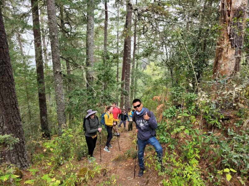Oaxaca: Sierra Norte Ixtepeji Guided Hike & Lunch, Half-Day - An In-Depth Look at the Oaxaca: Sierra Norte Ixtepeji Guided Hike & Lunch