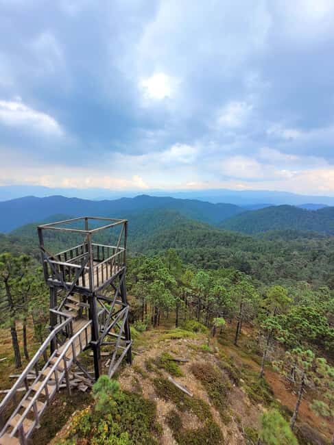 Oaxaca: Sierra Norte Ixtepeji Guided Hike & Lunch, Half-Day - Who Should Book This Tour?