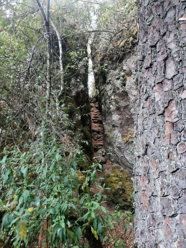 Oaxaca: Sierra Norte Tour with Zipline and Hanging Bridge - FAQ