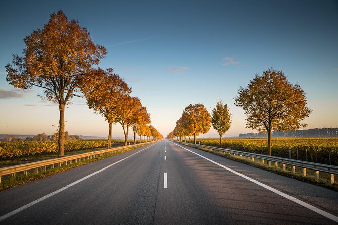 Oaxaca to Mexico City - Private Transfer with Optional Sightseeing - FAQs