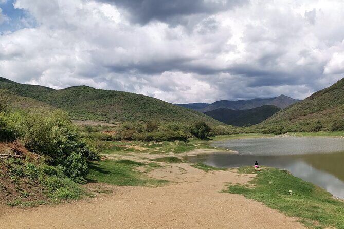 Oaxaca to Tule Tree Bike Tour - 6 hours - What Makes This Tour Stand Out