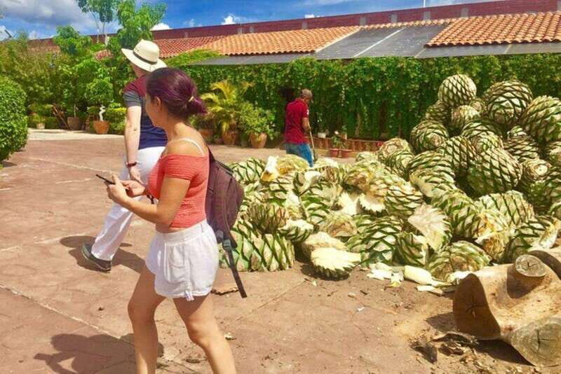 Oaxaca: Traditional Market Private Tour - The Experience and Its Drawbacks