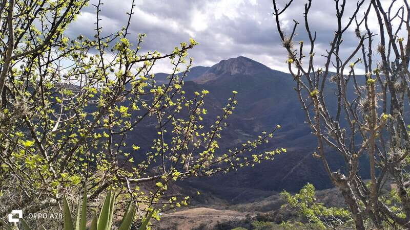 Oaxaca: Xaaga-Hierve el Agua 1 Day Hiking Tour - Final Thoughts