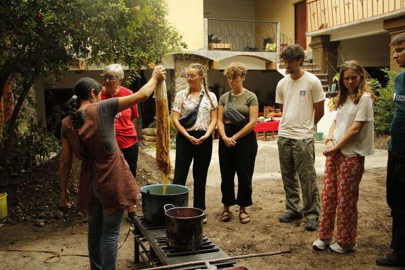 Oaxaca: Zapotec Roots, Mezcal and Textiles Tour - The Transport and Group Size