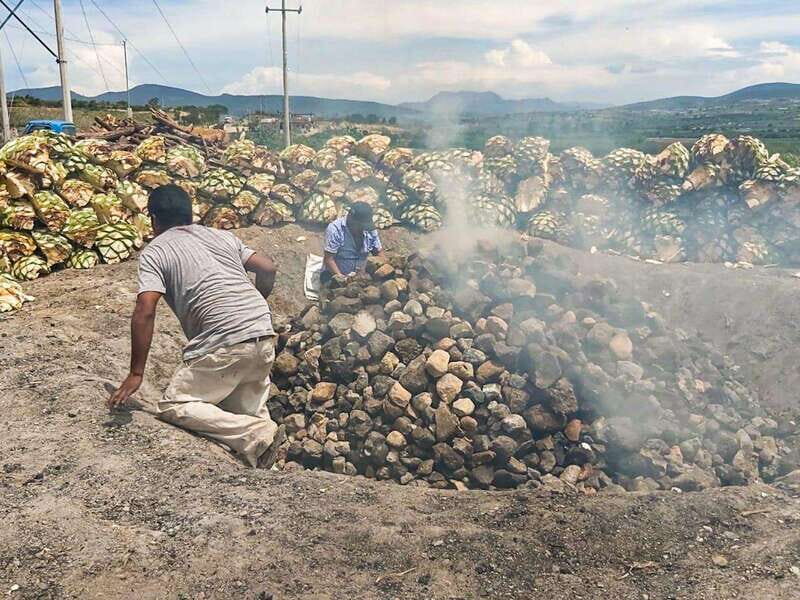 Oaxaca: Zapotec Roots, Mezcal and Textiles Tour - Final Thoughts