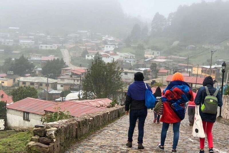 Oaxaca: Zipline, Nature Walk and Gastronomy Tour - FAQs