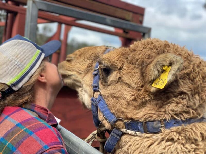 Oberon: Kenzell Farm Tour A Hands-On Animal Adventure! - Key Points