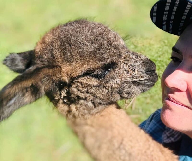 Oberon: Kenzell Farm Tour A Hands-On Animal Adventure! - The Setting and Views