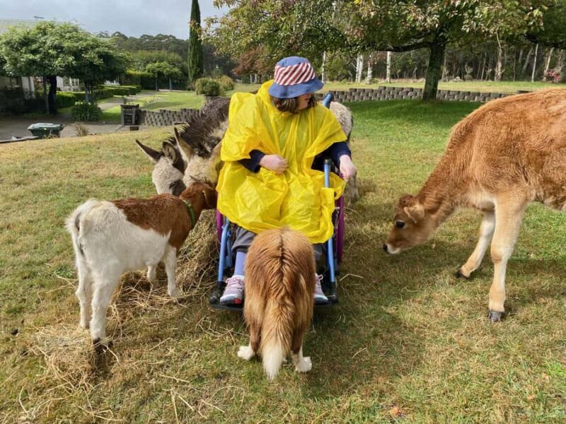 Oberon: Kenzell Farm Tour A Hands-On Animal Adventure! - Value and Pricing: What You Get for Your Money